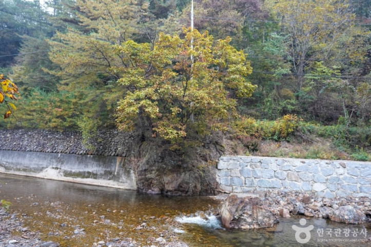 고선계곡(구마계곡) 여행 추천 - 메고지고