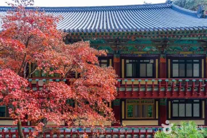 구인사(단양) 여행 추천 - 메고지고