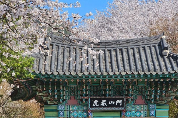 호압사(서울) 여행 추천 - 메고지고