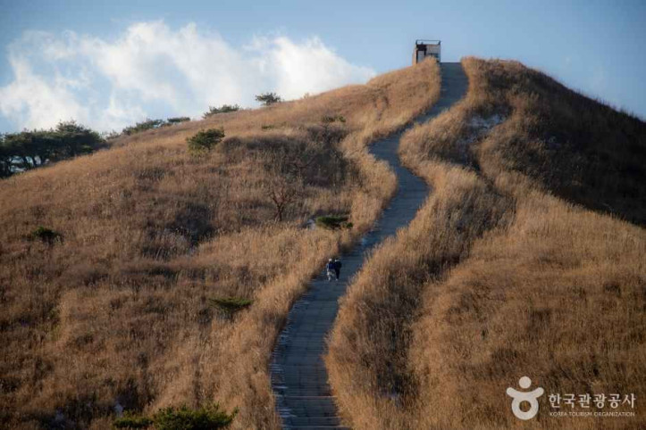 황매산 군립공원 여행 추천 - 메고지고