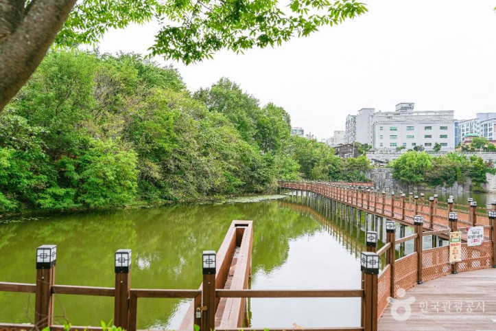 성안숯못생태공원 여행 추천 - 메고지고