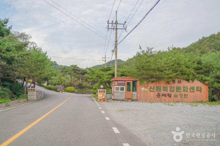 숲정원 윤제림 여행 추천 - 메고지고