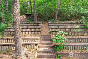 문수산 여행 추천 - 메고지고