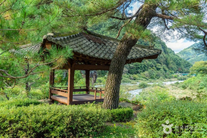 봉황둘레길 여행 추천 - 메고지고