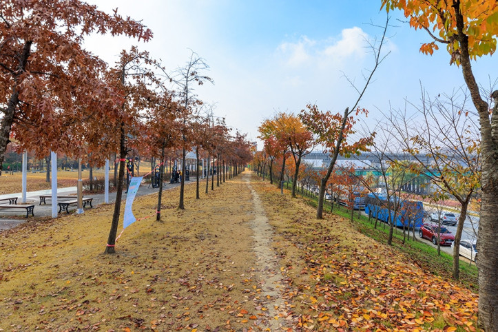 금강로하스산호빛공원 여행 추천 - 메고지고