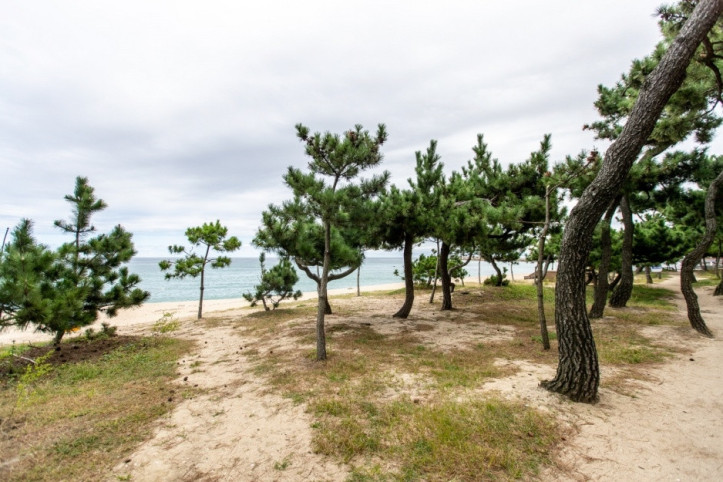 송정해변 여행 추천 - 메고지고