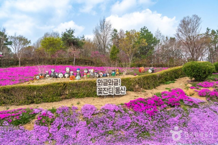 진안 꽃잔디동산 여행 추천 - 메고지고