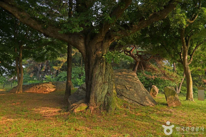 부여 산직리지석묘 여행 추천 - 메고지고