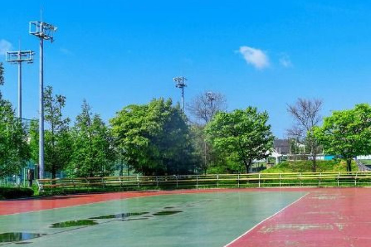 향남화합공원 여행 추천 - 메고지고