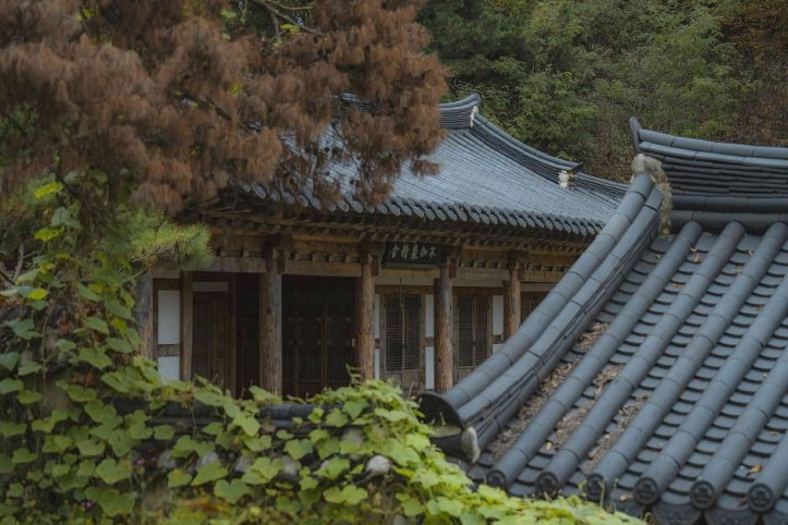 동락서원 여행 추천 - 메고지고