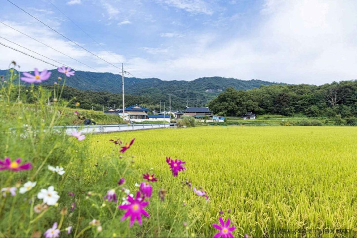 신기마을 여행 추천 - 메고지고