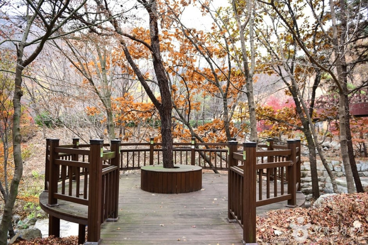 흑석산 자연휴양림 여행 추천 - 메고지고