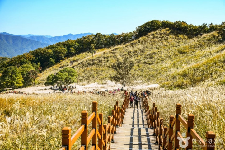 명성산억새밭 여행 추천 - 메고지고