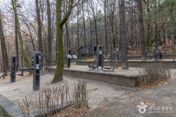 대모산도시자연공원 여행 추천 - 메고지고