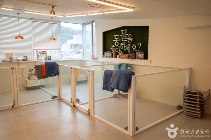 미어캣파크 여행 추천 - 메고지고