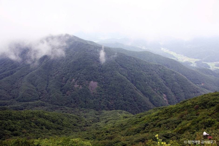 오도산 여행 추천 - 메고지고