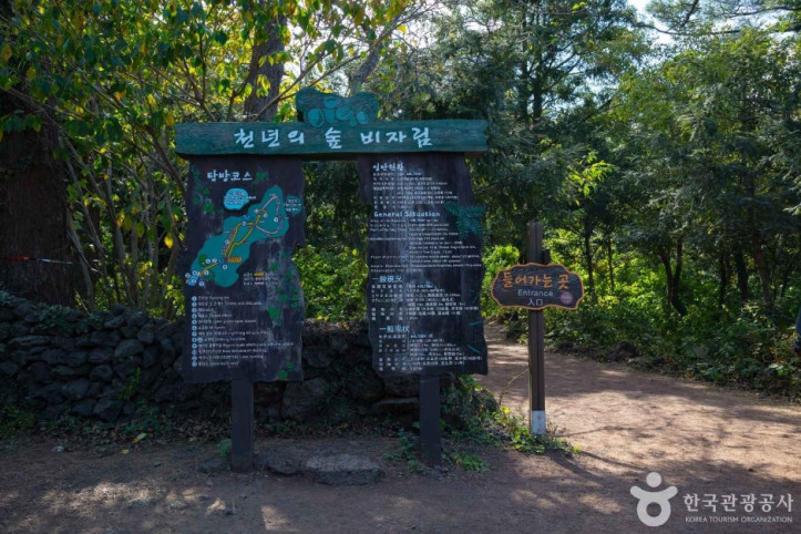 비자림 여행 추천 - 메고지고