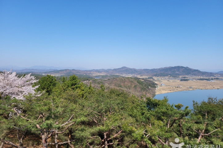 낙동강 경천대(경천대 전망대) 여행 추천 - 메고지고