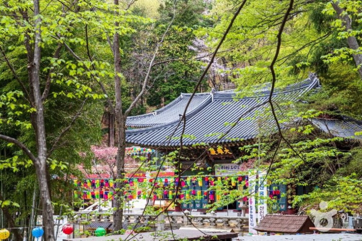 홍룡사(양산) 여행 추천 - 메고지고