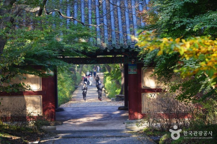 갑사 여행 추천 - 메고지고