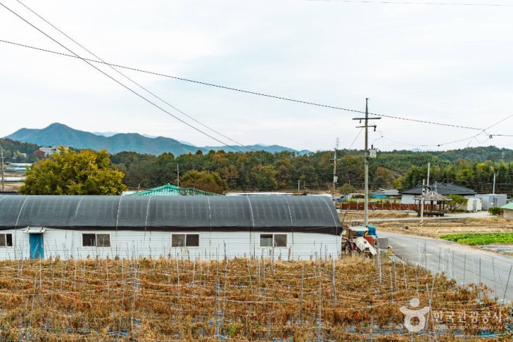 논산 황산벌참살이마을 여행 추천 - 메고지고