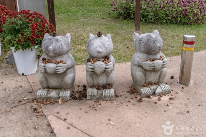 공작산생태숲 여행 추천 - 메고지고