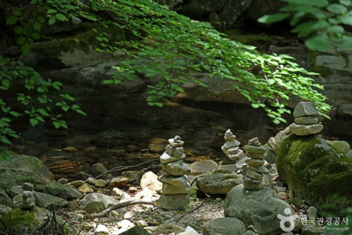 동학사계곡 여행 추천 - 메고지고