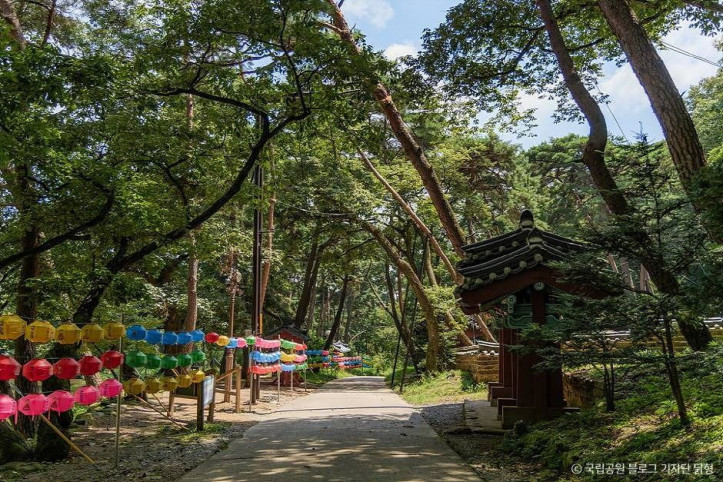 팔공산국립공원(은해사지구) 여행 추천 - 메고지고