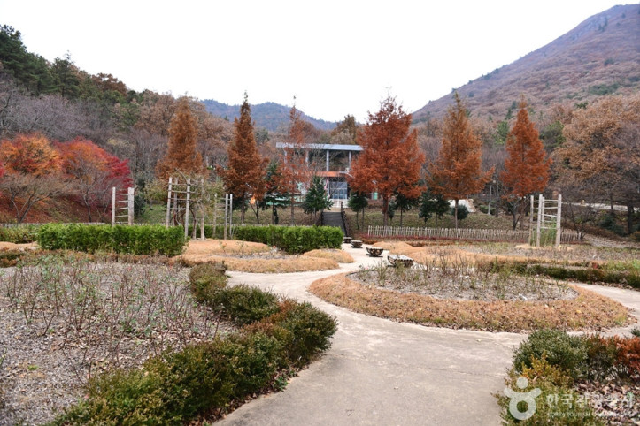 흑석산 자연휴양림 여행 추천 - 메고지고