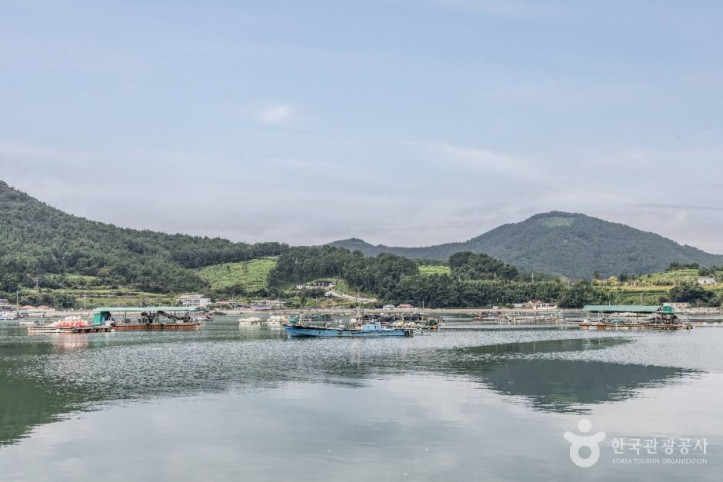 장포항 여행 추천 - 메고지고