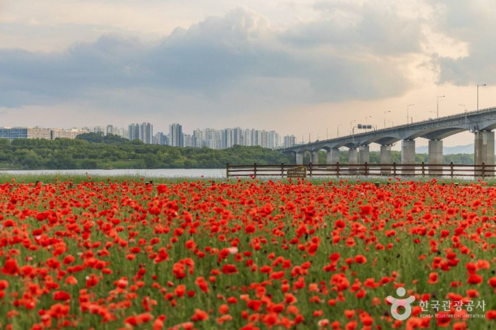 남양주한강공원(삼패지구) 여행 추천 - 메고지고
