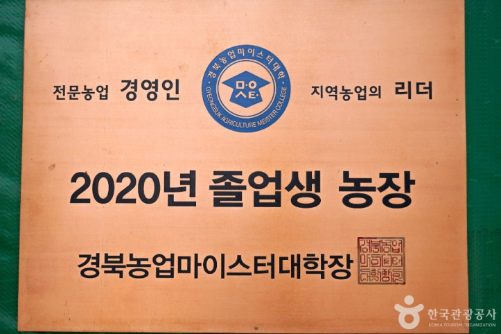 널위한딸기농장 여행 추천 - 메고지고