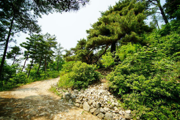 가장마을 여행 추천 - 메고지고