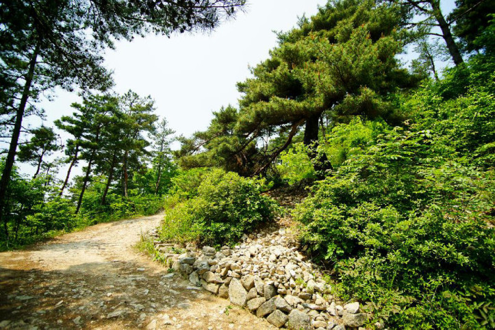 회덕마을 여행 추천 - 메고지고