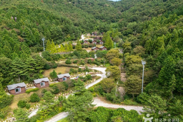 봉황산자연휴양림 여행 추천 - 메고지고