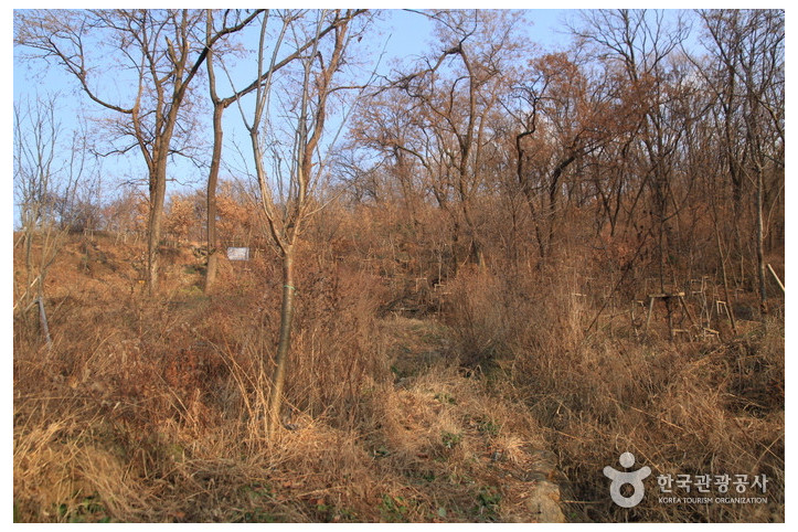망우산(서울) 여행 추천 - 메고지고