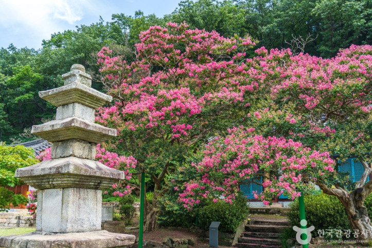 반야사 여행 추천 - 메고지고