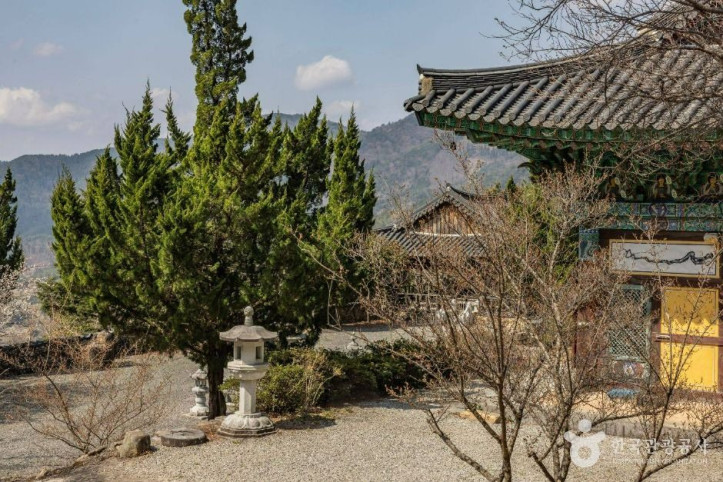 금둔사 여행 추천 - 메고지고