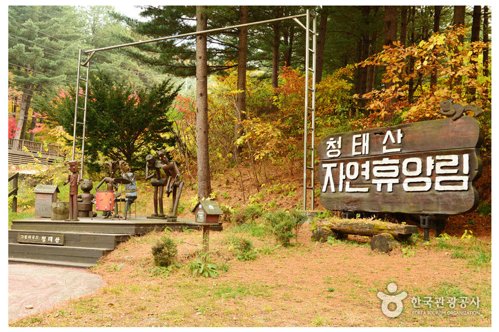 국립 청태산자연휴양림 여행 추천 - 메고지고