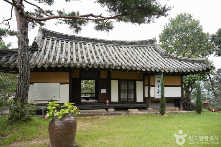 한방테마파크 초락당 여행 추천 - 메고지고