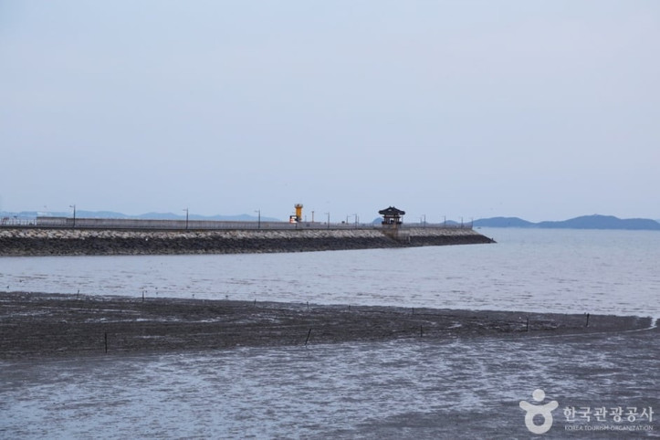 궁평리 해수욕장 여행 추천 - 메고지고