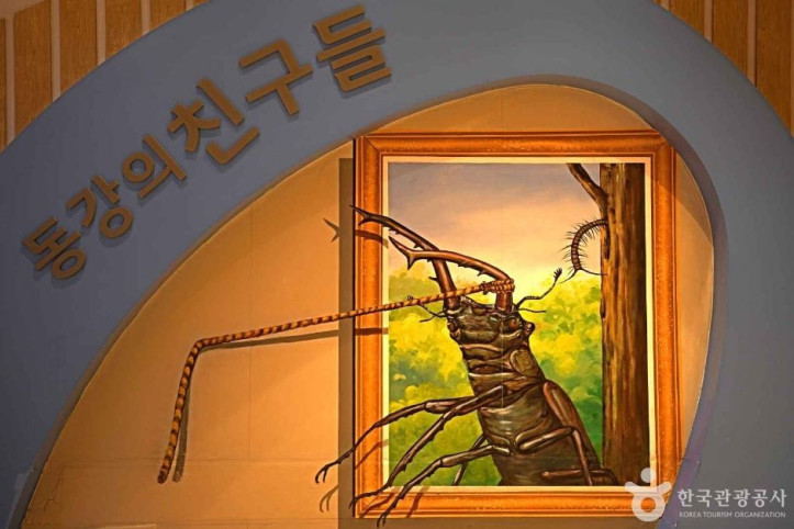 영월동강생태공원 여행 추천 - 메고지고