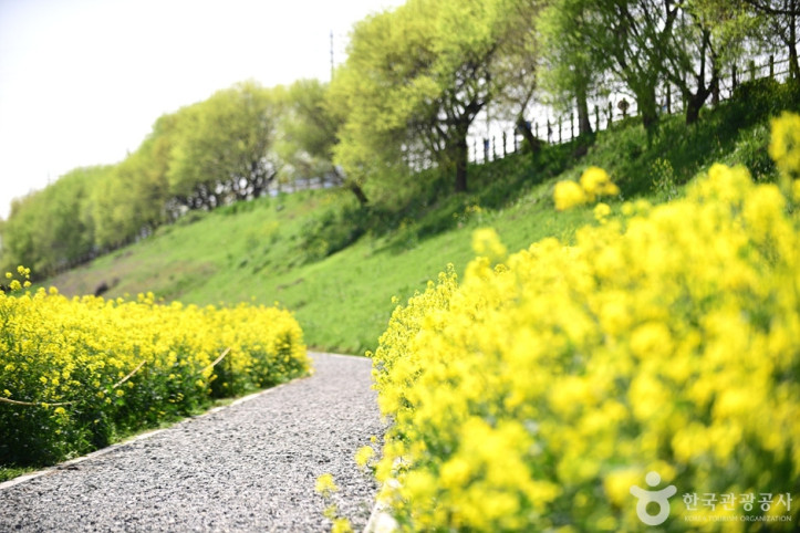 영산강둔치체육공원 여행 추천 - 메고지고