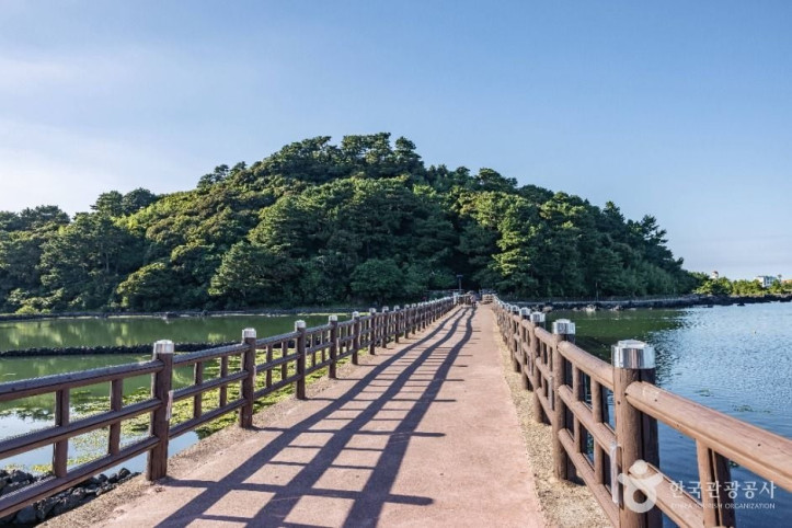오조포구 여행 추천 - 메고지고