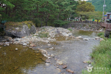 원통사(무주) 여행 추천 - 메고지고