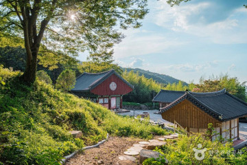 수청저수지 여행 추천 - 메고지고