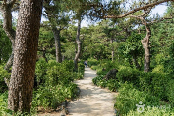 마장리계곡 여행 추천 - 메고지고