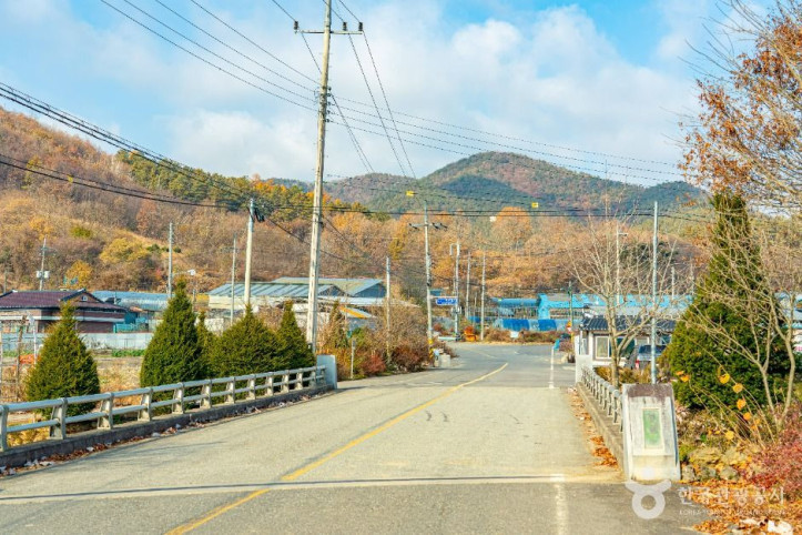 원연장 꽃잔디마을 여행 추천 - 메고지고