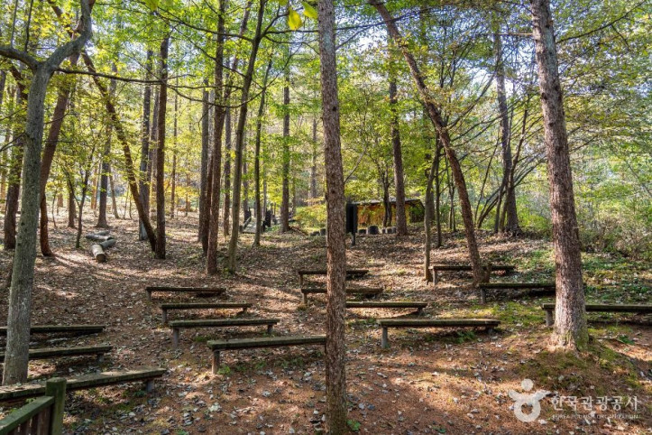 덕동생태숲 여행 추천 - 메고지고