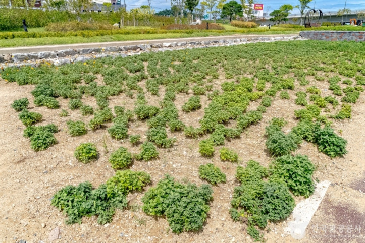 양양남대천체육공원 여행 추천 - 메고지고
